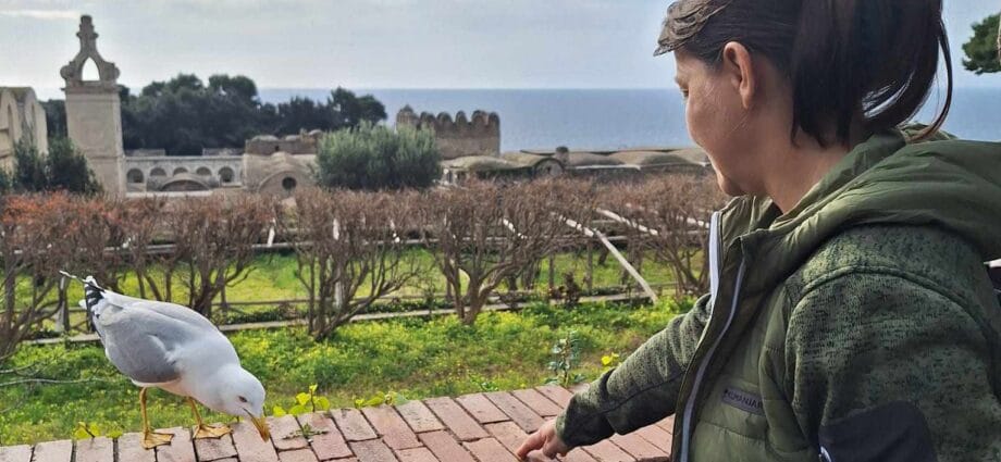 Oraşe prietenoase cu Păsările migratoare. #focustogreenecolife