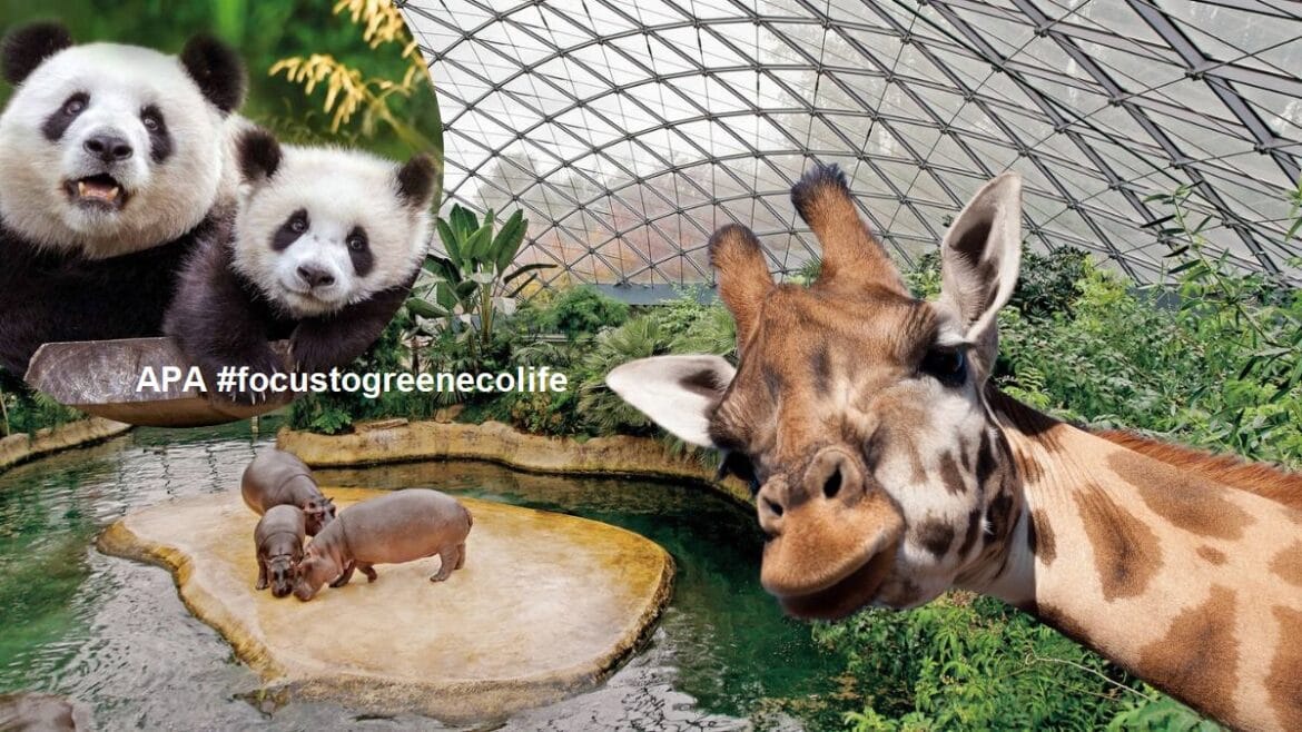 Animalele tale preferate de “Ziua Internațională a Grădinilor Zoologice și a Parcurilor” #focustogreenecolife