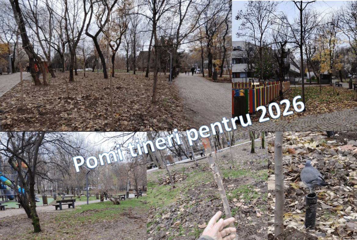 Solidaritatea dintre om şi natură se transformă ȋn responsabilitate la “Focus to green eco life”