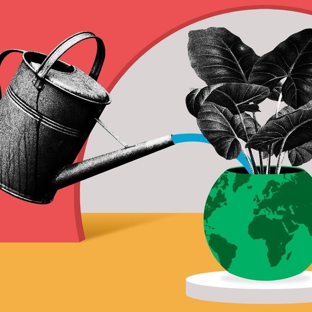 Reciclare Creativă inspirată de Ziua Copiilor Inventatori #focustogreenecolife