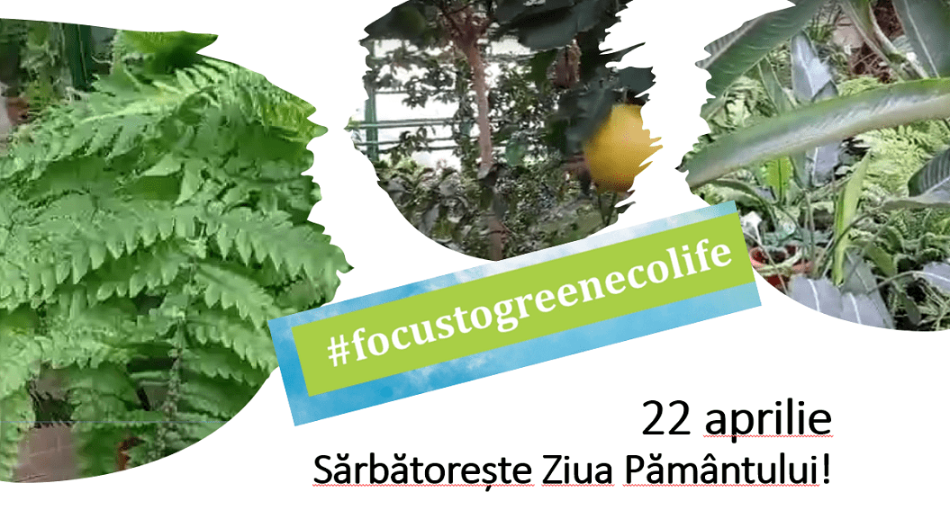 Deschiși spre a cunoaște și a proteja Pământul și resursele sale de apa. “Focus to green eco life” de Ziua Pământului